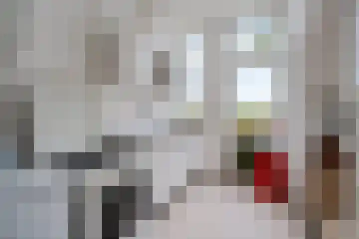Koninginnelaan 59 a Groningen thumbnail 17