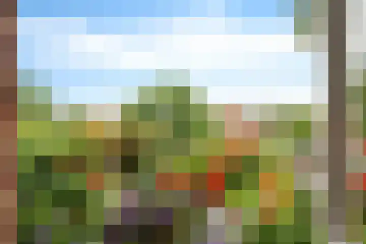 Koninginnelaan 59 a Groningen thumbnail 18