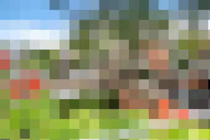 Koninginnelaan 59 a Groningen thumbnail 19