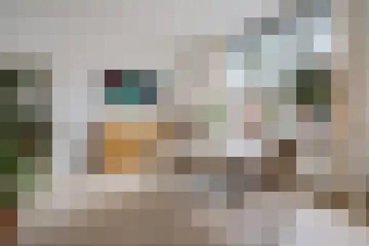 Koninginnelaan 59 a Groningen foto 2
