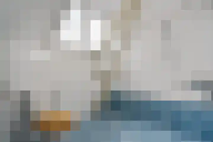 Koninginnelaan 59 a Groningen thumbnail 24
