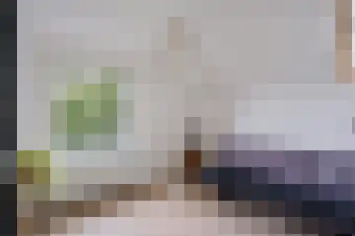 Koninginnelaan 59 a Groningen thumbnail 29