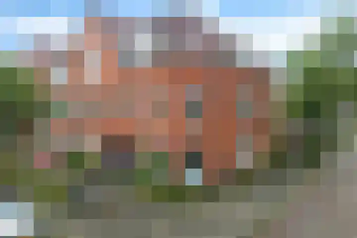 Koninginnelaan 59 a Groningen foto 3