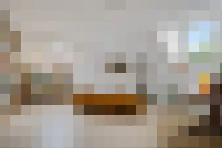 Koninginnelaan 59 a Groningen thumbnail 32