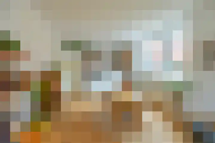 Koninginnelaan 59 Groningen thumbnail 13