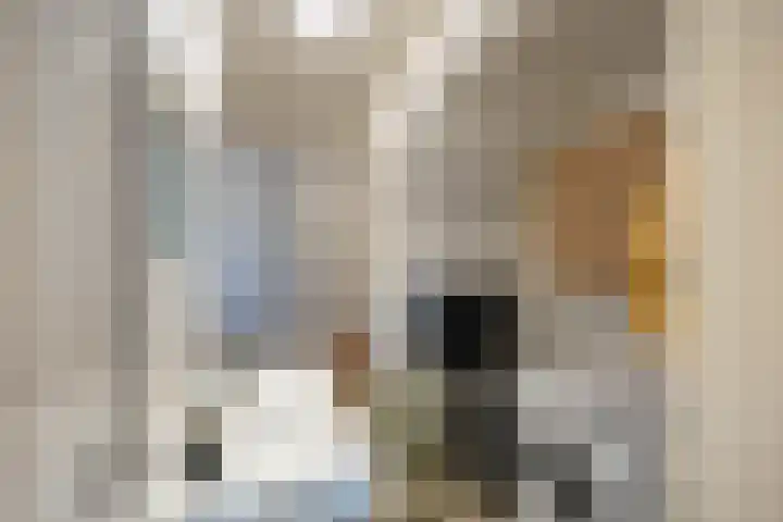 Koninginnelaan 59 Groningen thumbnail 21