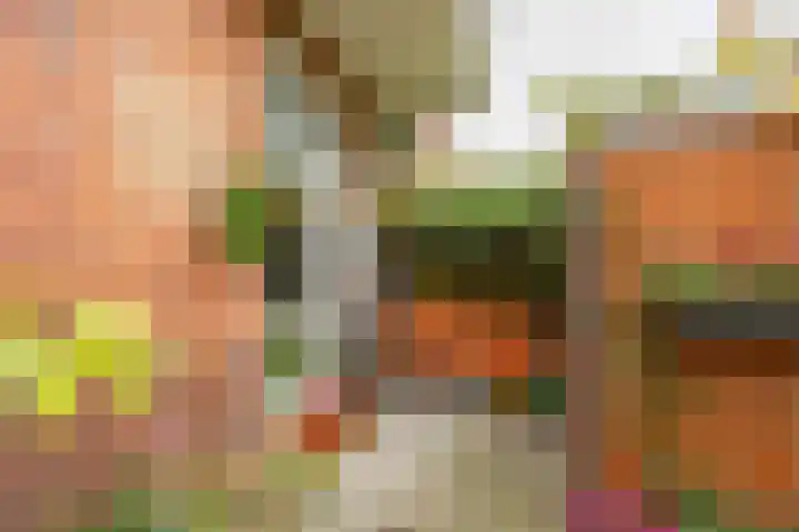 Koninginnelaan 59 Groningen thumbnail 25