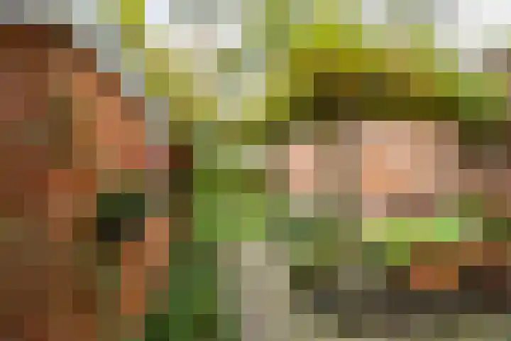 Koninginnelaan 59 Groningen thumbnail 26