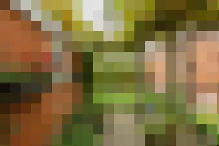 Koninginnelaan 59 Groningen thumbnail 27