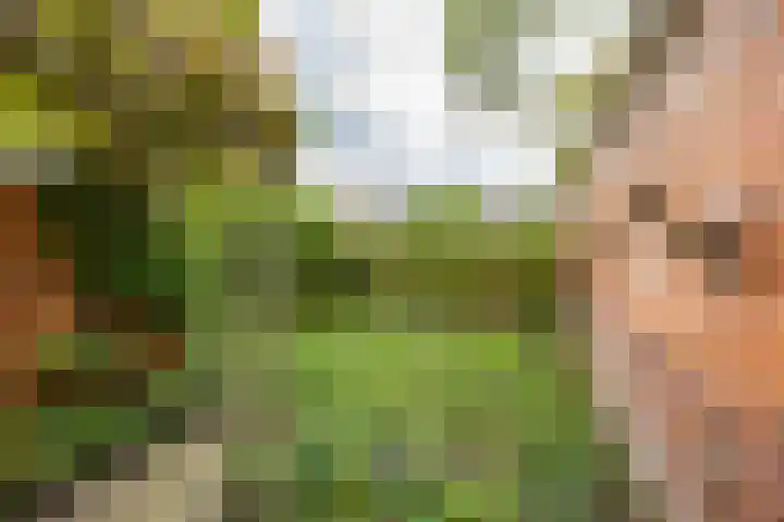 Koninginnelaan 59 Groningen thumbnail 28