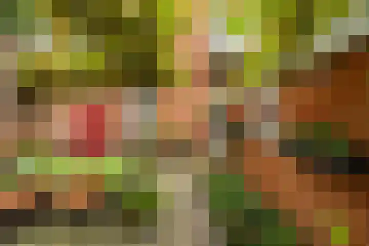 Koninginnelaan 59 Groningen thumbnail 29