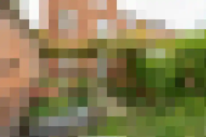 Koninginnelaan 59 Groningen thumbnail 30