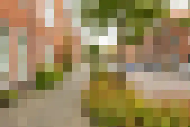 Koninginnelaan 59 Groningen thumbnail 31