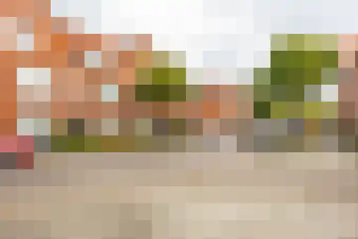 Koninginnelaan 59 Groningen thumbnail 32