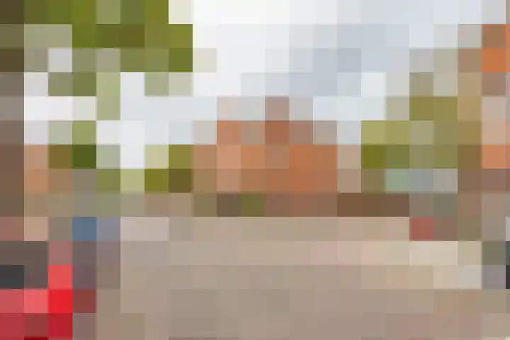 Koninginnelaan 59 Groningen thumbnail 33
