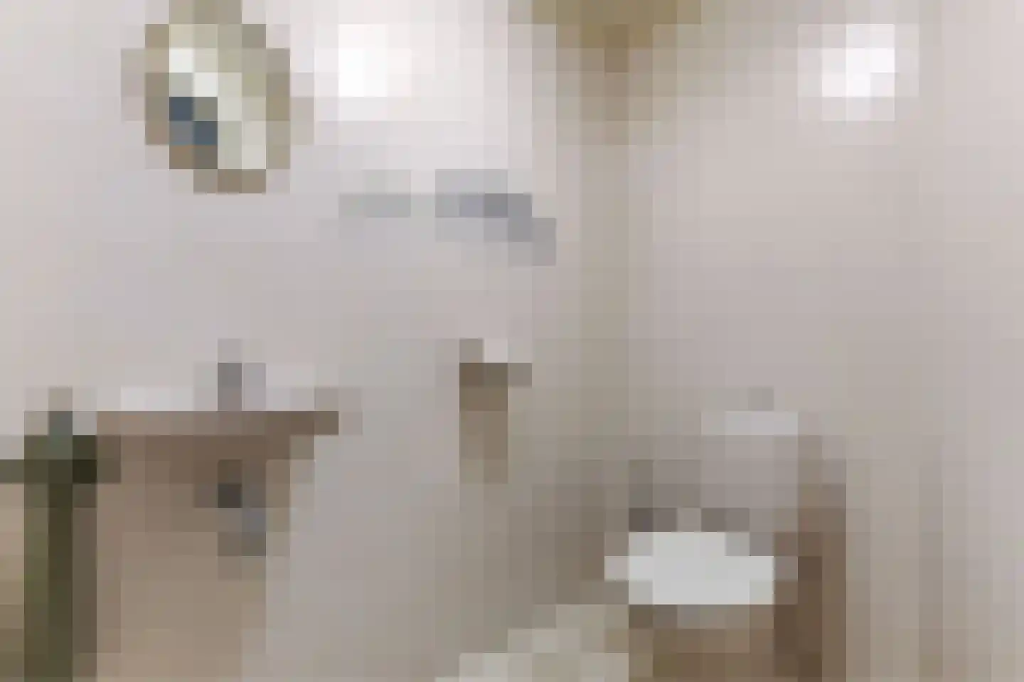 Koninginnelaan 6 Ermelo thumbnail 21