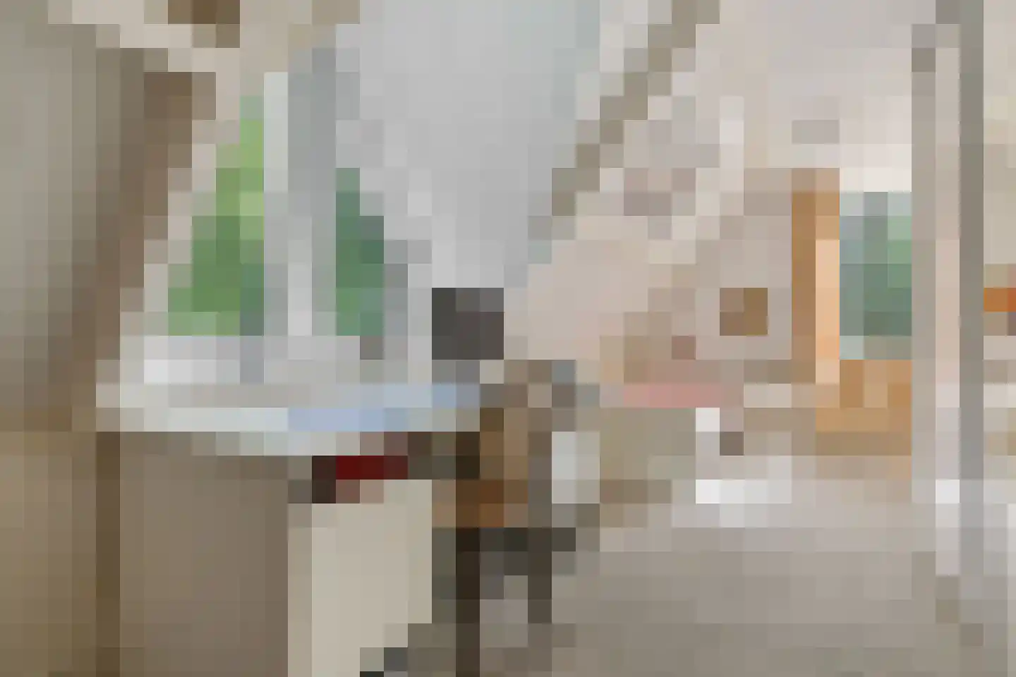 Koninginnelaan 6 Ermelo thumbnail 30