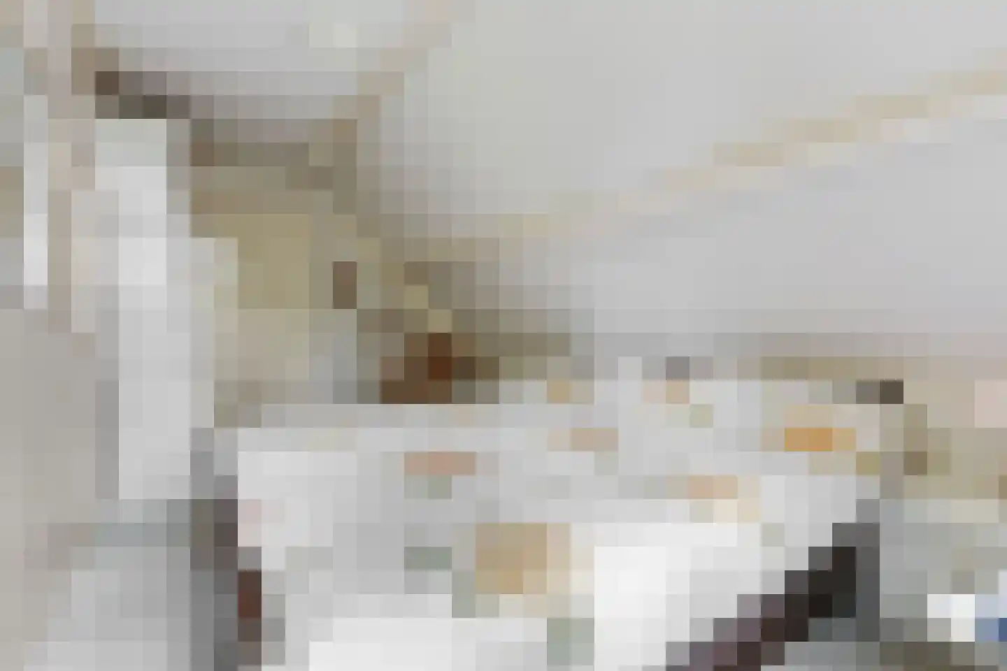 Koninginnelaan 6 Ermelo thumbnail 37