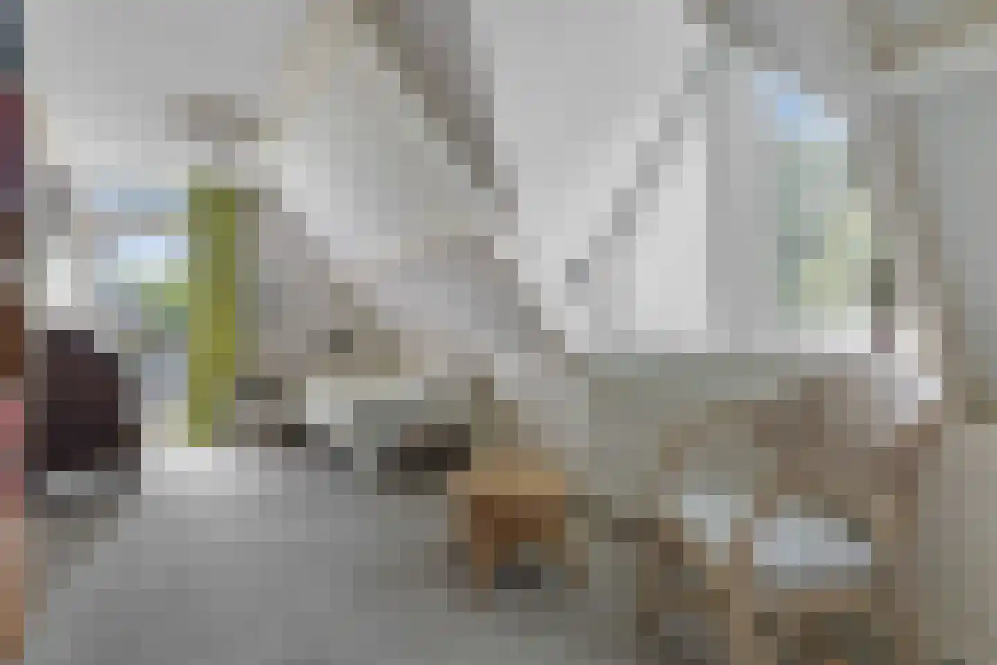 Koninginnelaan 6 Ermelo thumbnail 38
