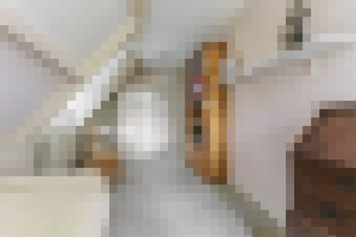 Koninginnelaan 6 Ermelo thumbnail 39