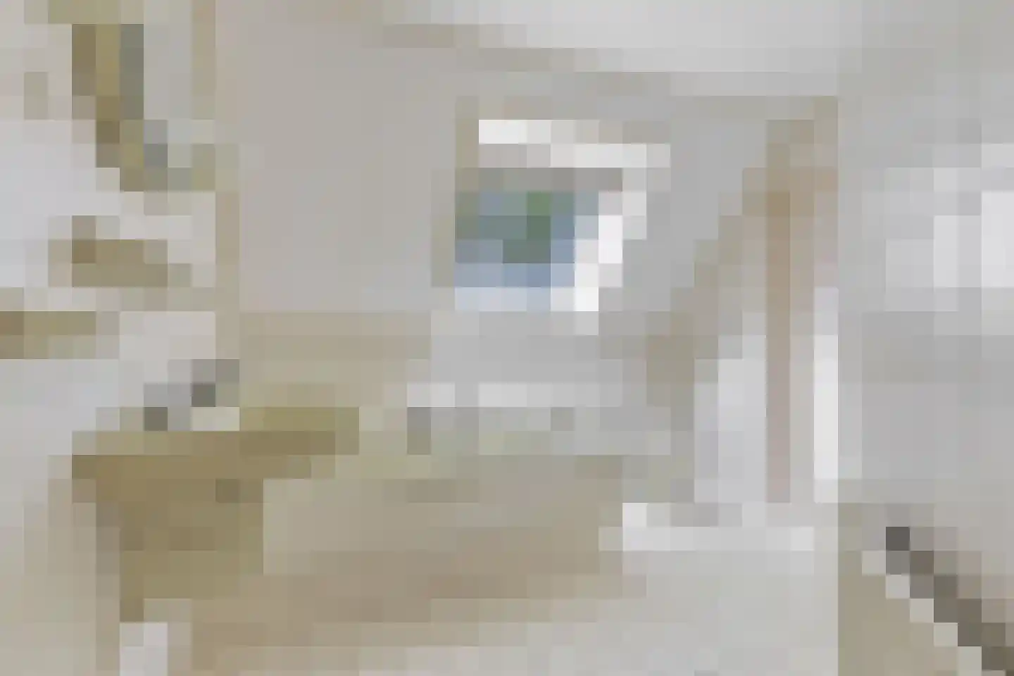 Koninginnelaan 6 Ermelo thumbnail 40