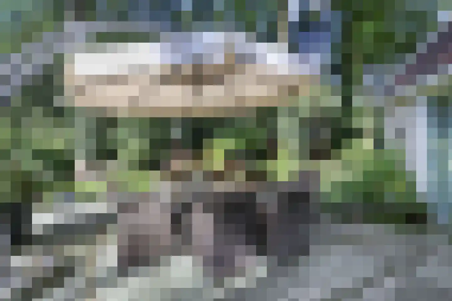 Koninginnelaan 6 Ermelo thumbnail 44