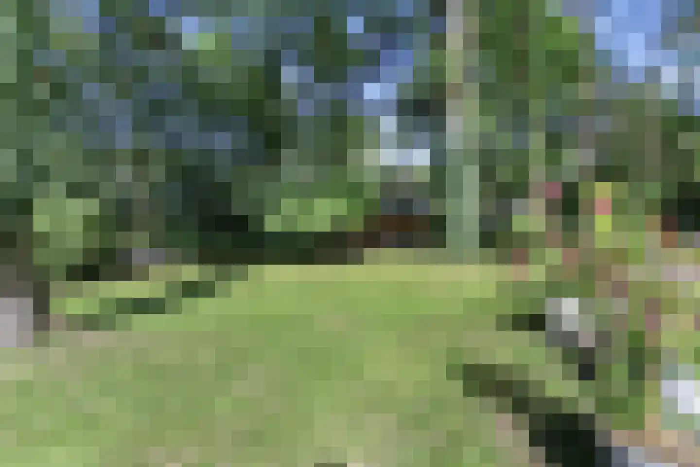 Koninginnelaan 6 Ermelo thumbnail 45