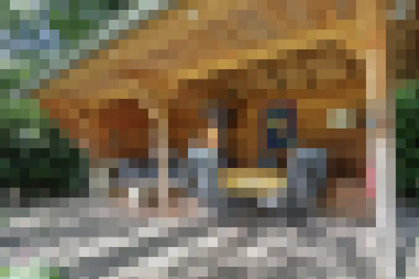Koninginnelaan 6 Ermelo thumbnail 46