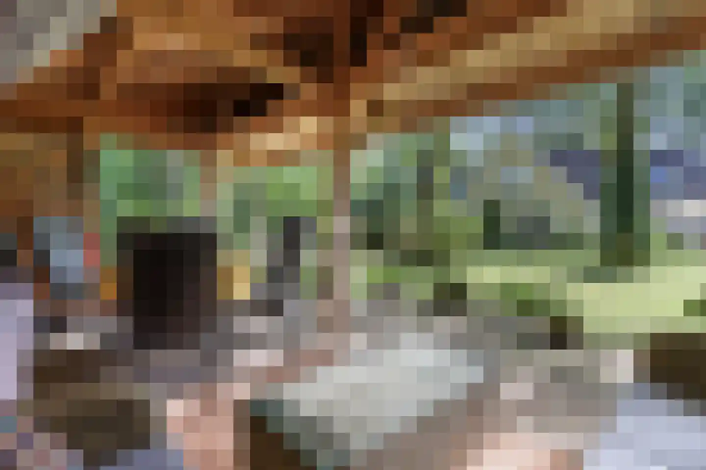 Koninginnelaan 6 Ermelo thumbnail 47