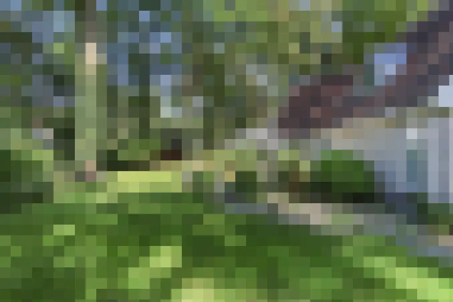 Koninginnelaan 6 Ermelo thumbnail 48