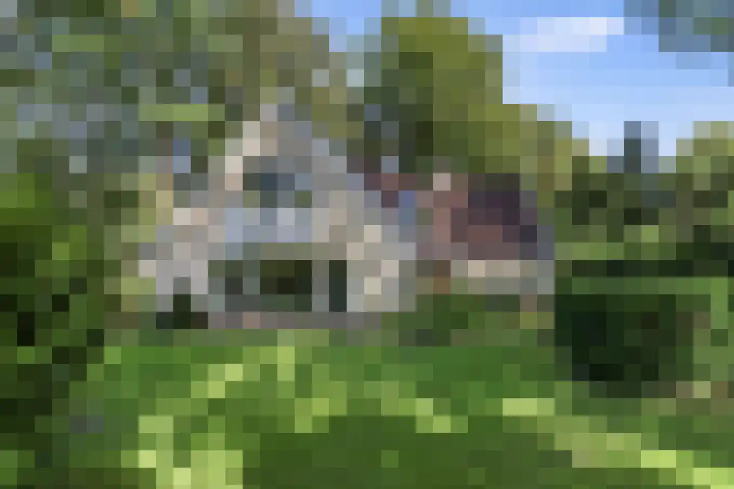 Koninginnelaan 6 Ermelo thumbnail 49