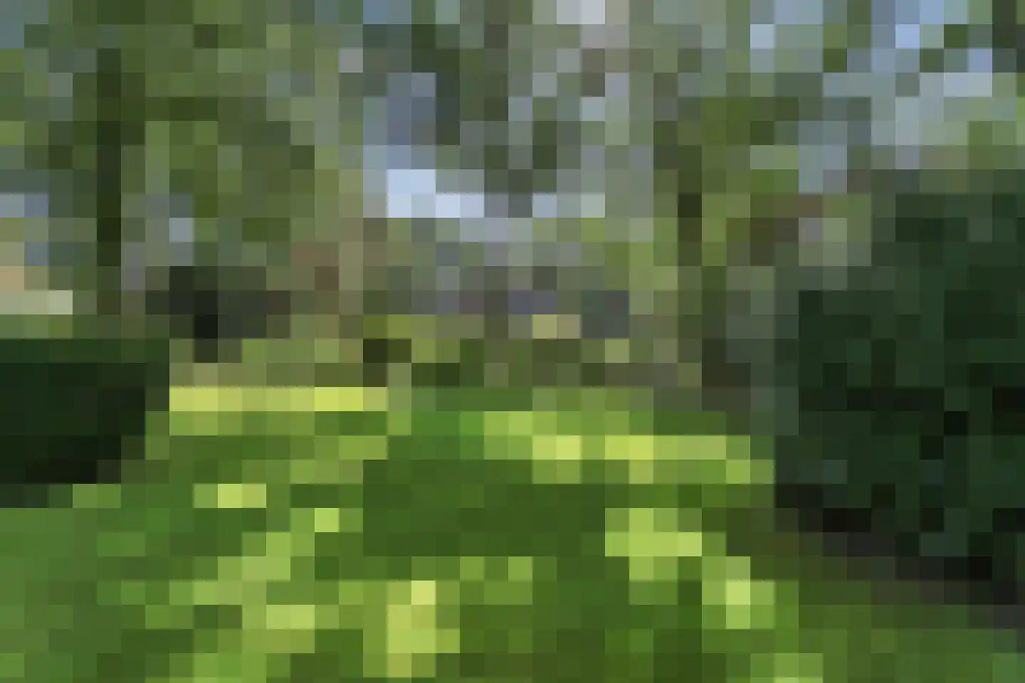 Koninginnelaan 6 Ermelo thumbnail 5