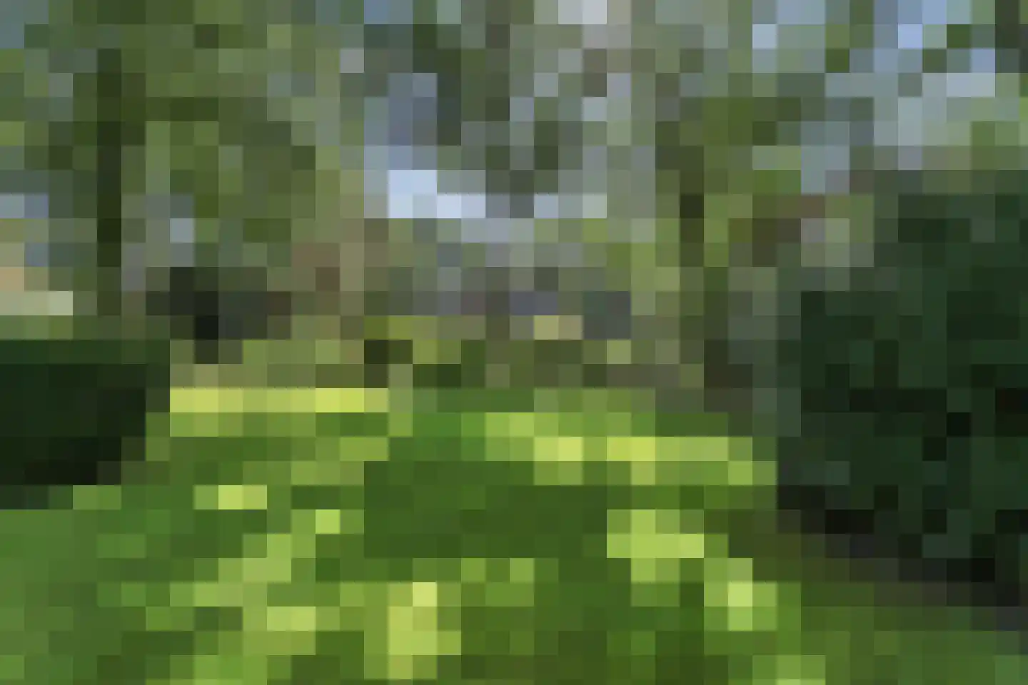 Koninginnelaan 6 Ermelo thumbnail 50