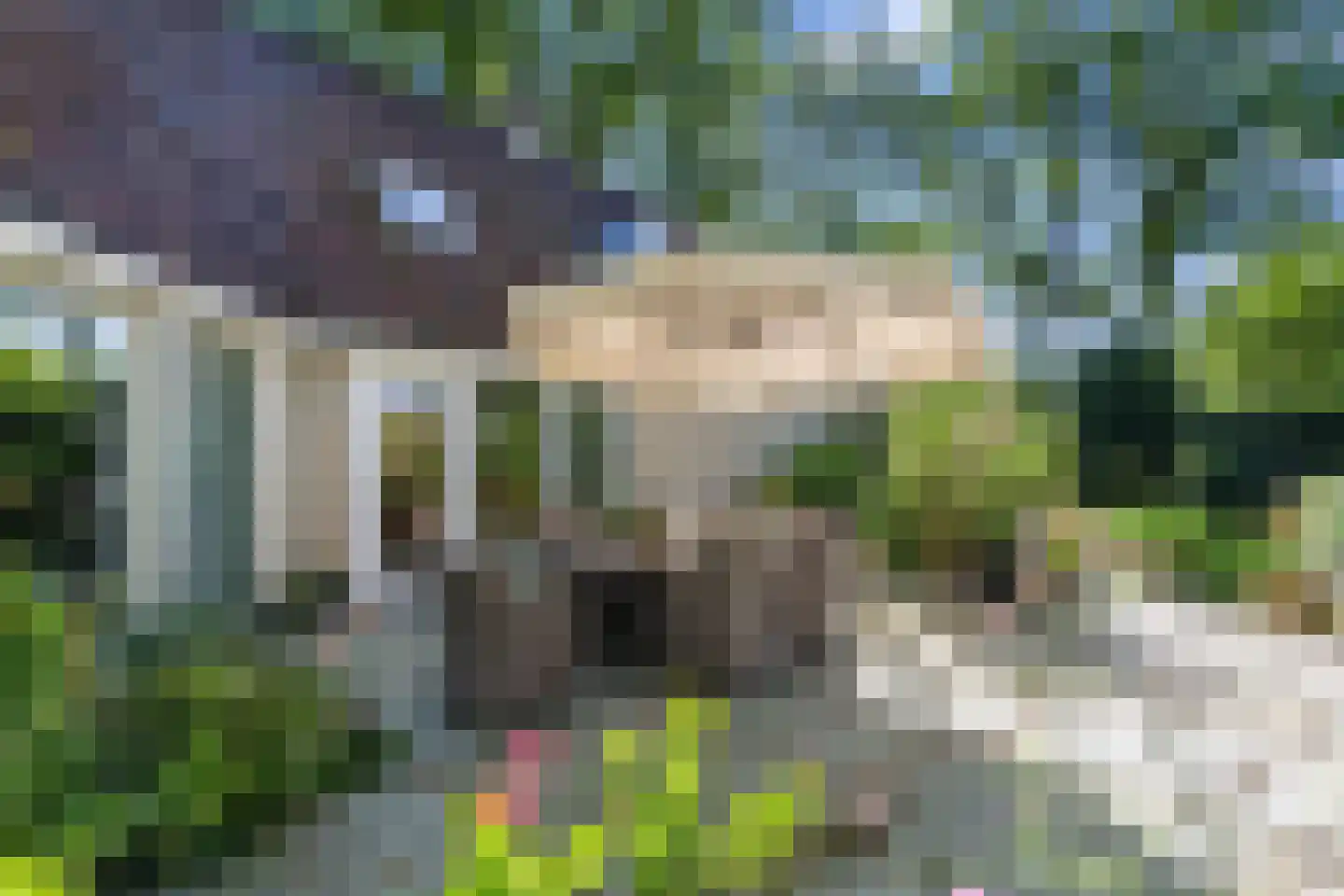 Koninginnelaan 6 Ermelo thumbnail 51