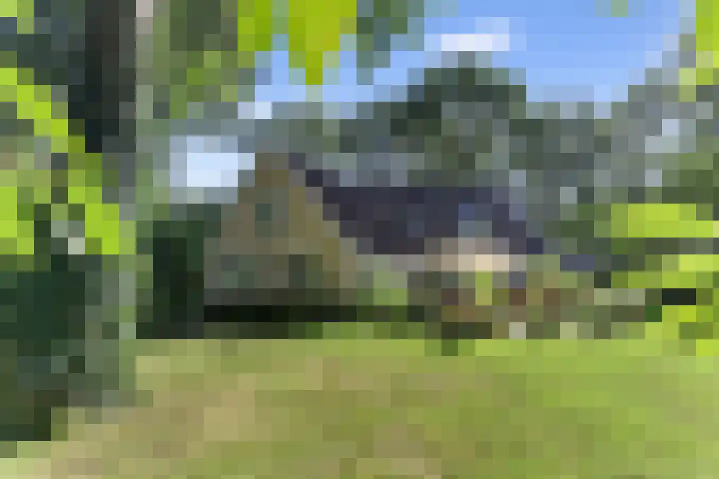 Koninginnelaan 6 Ermelo thumbnail 52