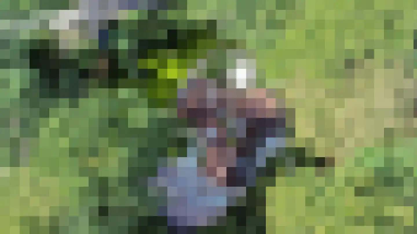 Koninginnelaan 6 Ermelo thumbnail 53