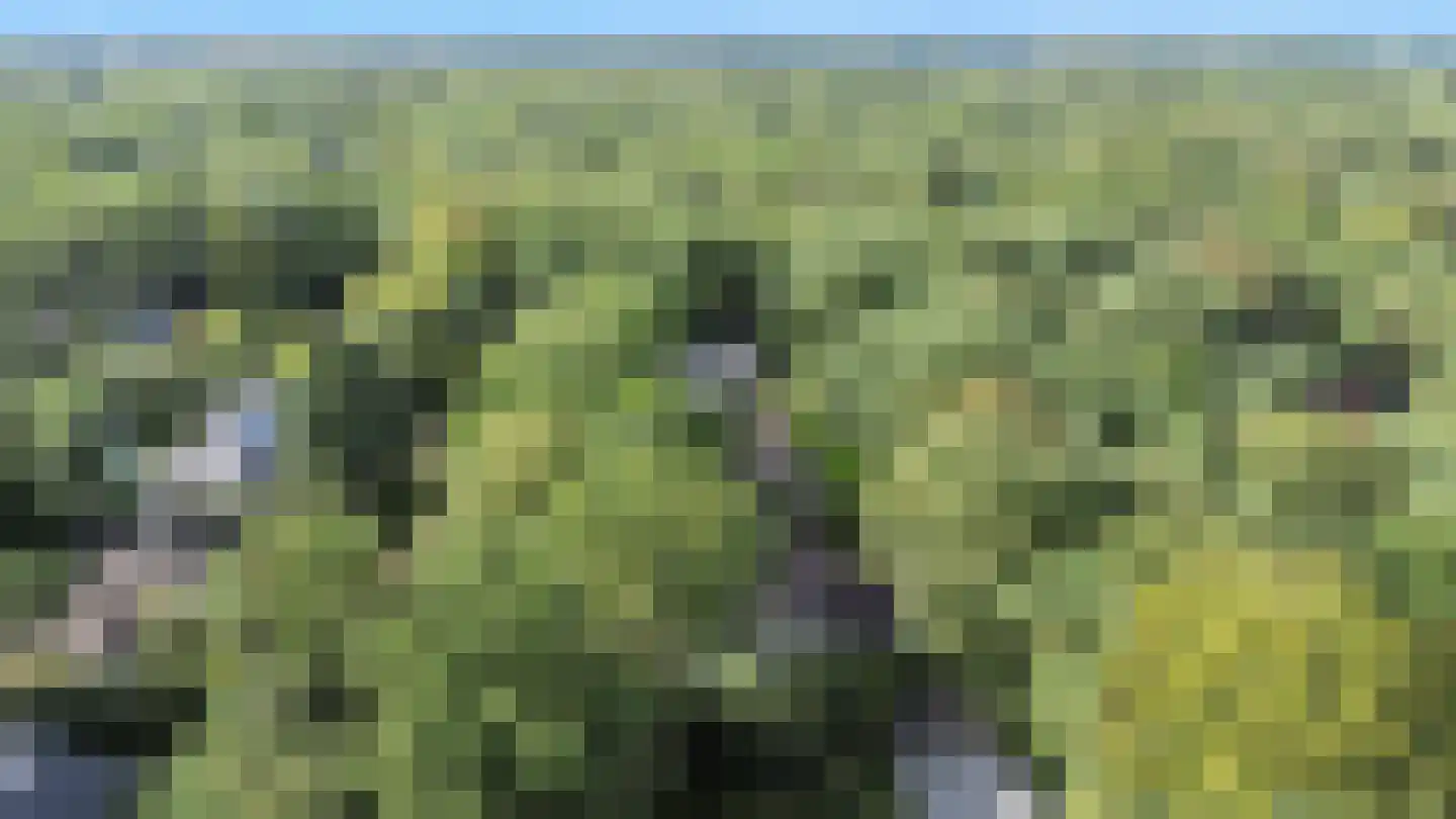 Koninginnelaan 6 Ermelo thumbnail 54