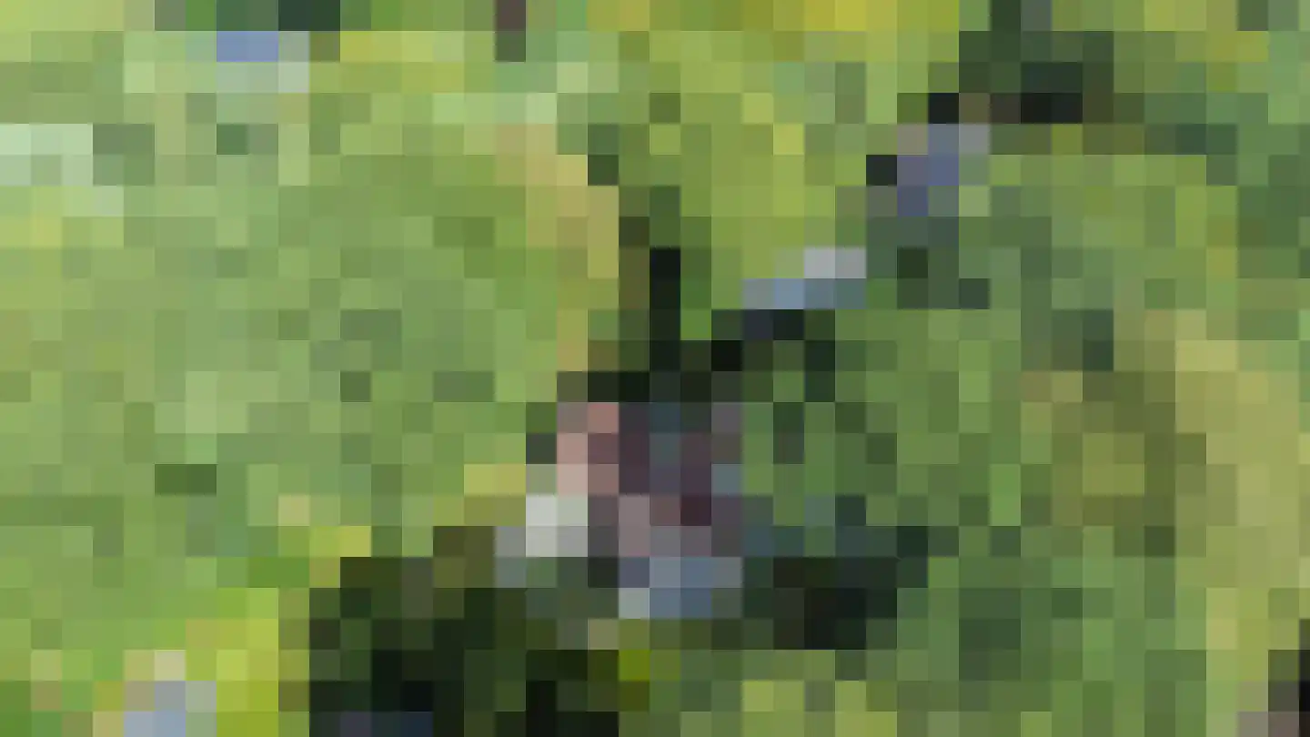 Koninginnelaan 6 Ermelo thumbnail 55