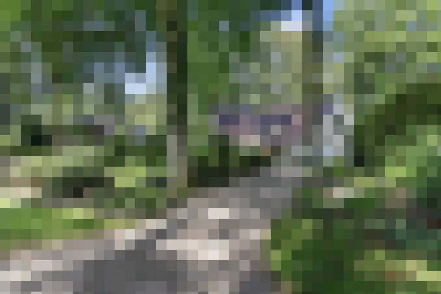 Koninginnelaan 6 Ermelo thumbnail 6