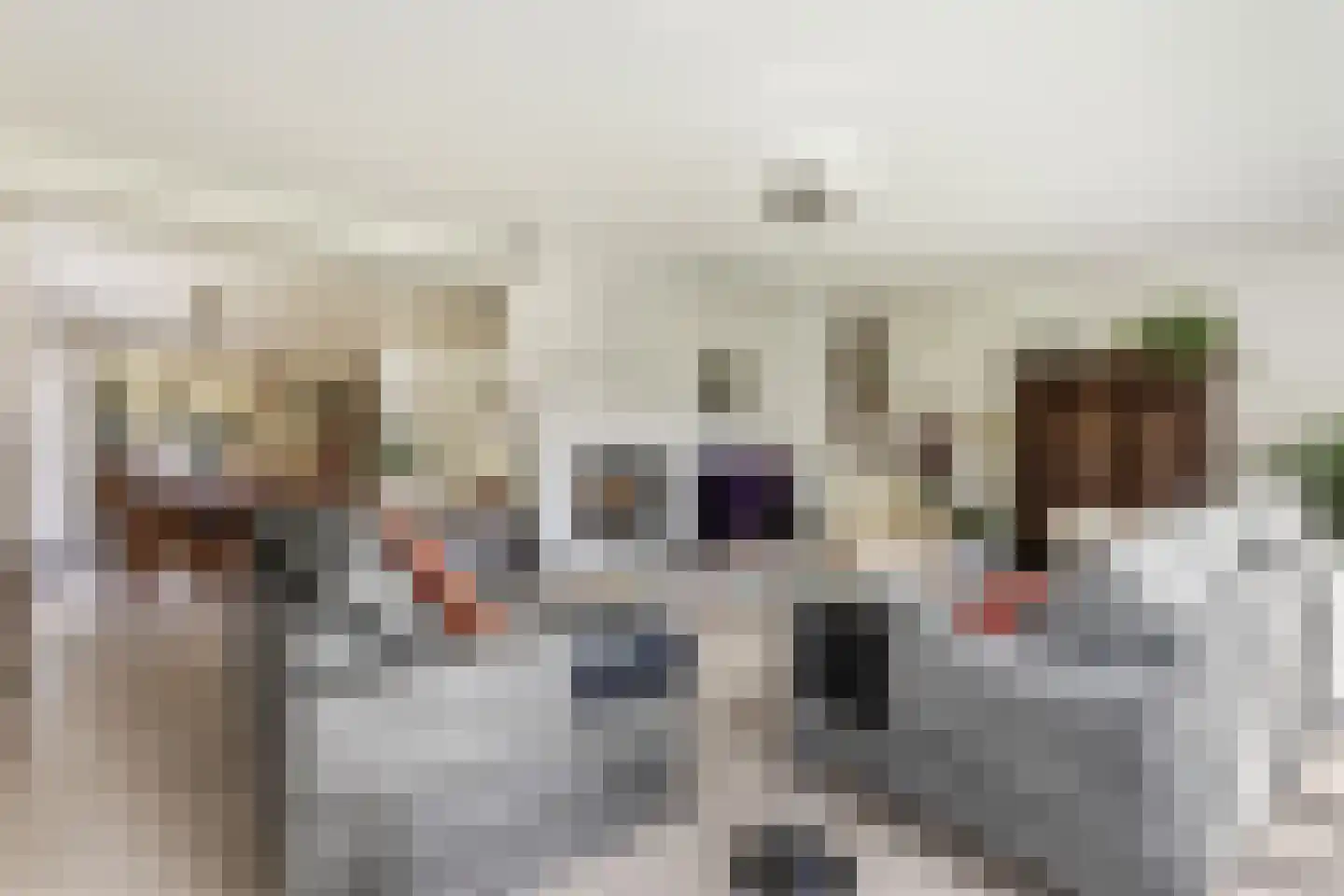 Koninginnelaan 6 Ermelo thumbnail 9