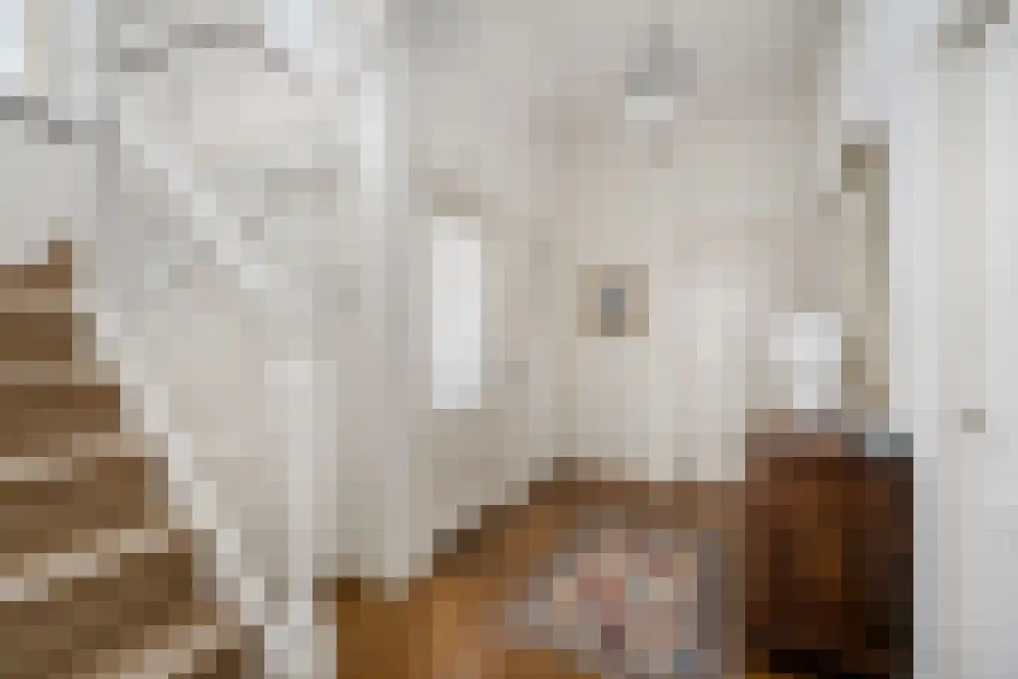 Koninginnelaan 6 Oegstgeest thumbnail 10
