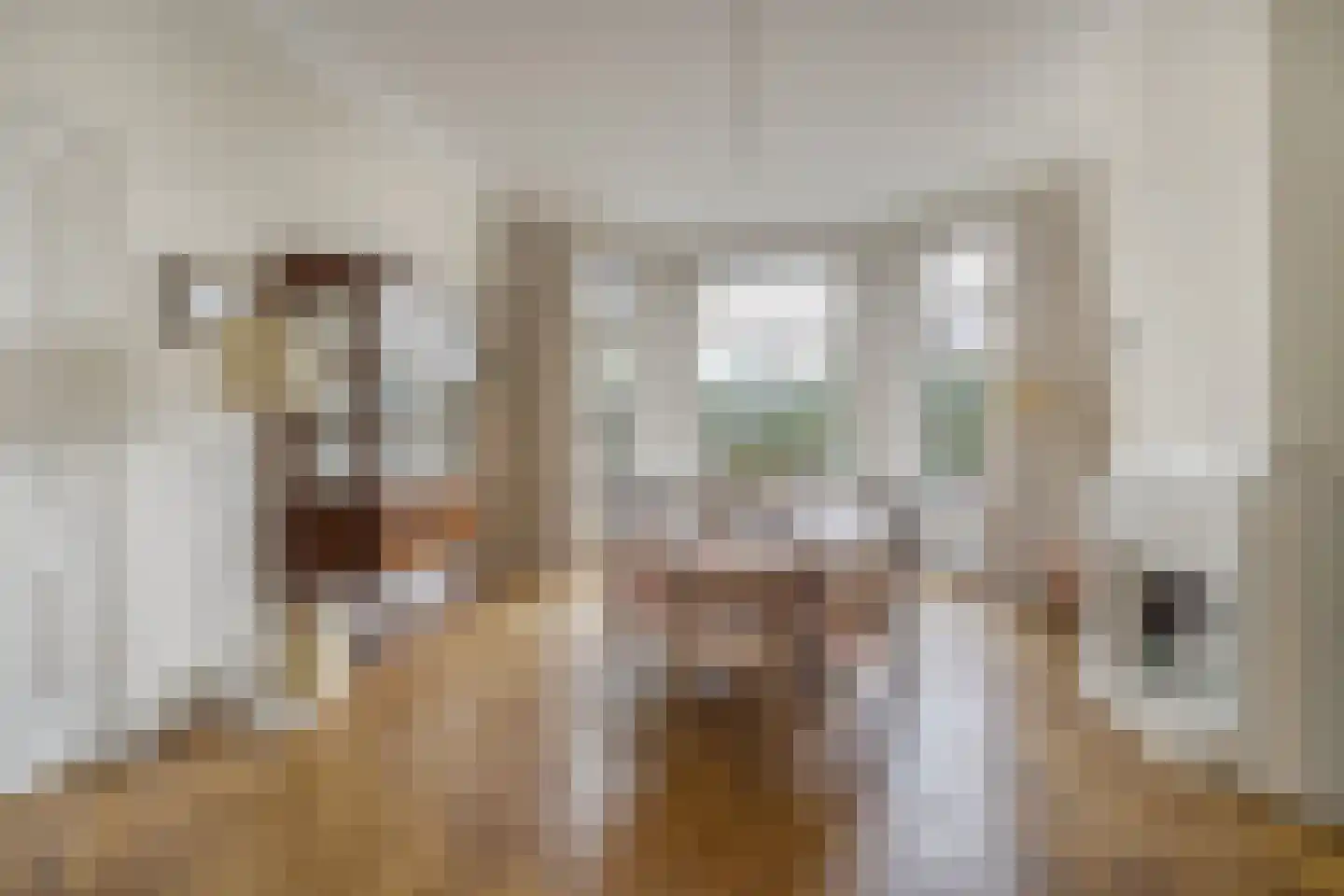 Koninginnelaan 6 Oegstgeest thumbnail 13