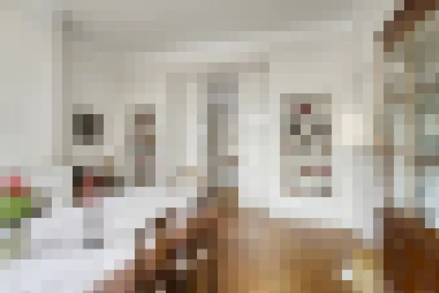 Koninginnelaan 6 Oegstgeest thumbnail 15