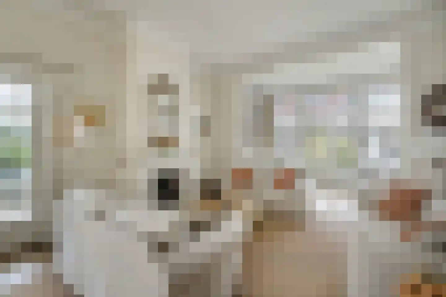 Koninginnelaan 6 Oegstgeest thumbnail 19