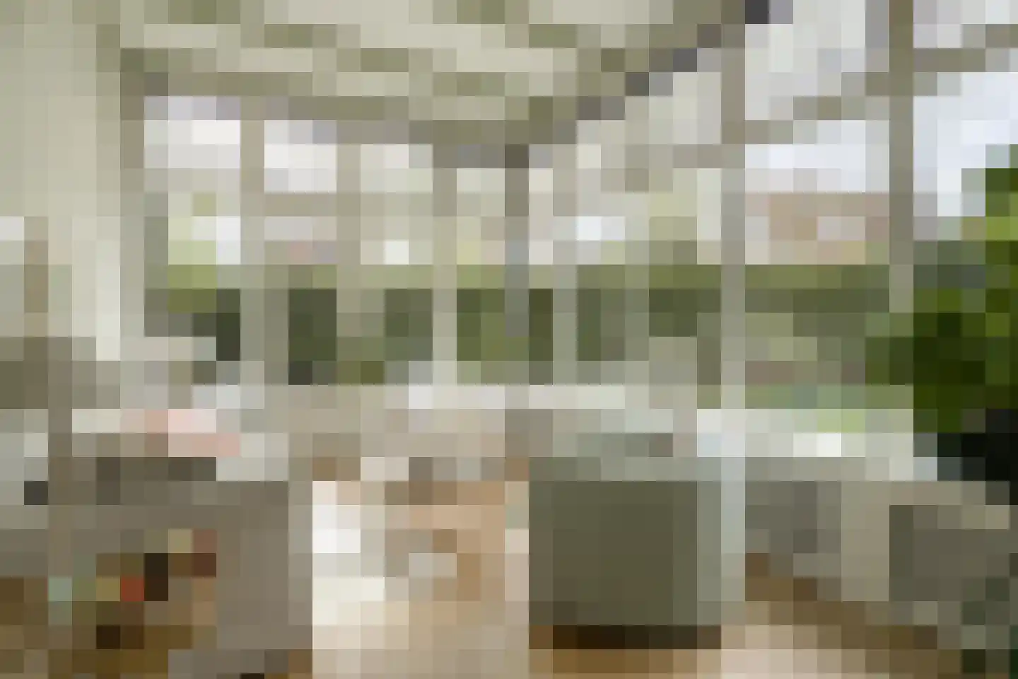 Koninginnelaan 6 Oegstgeest thumbnail 22