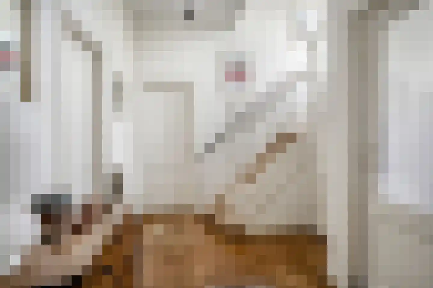 Koninginnelaan 6 Oegstgeest thumbnail 29