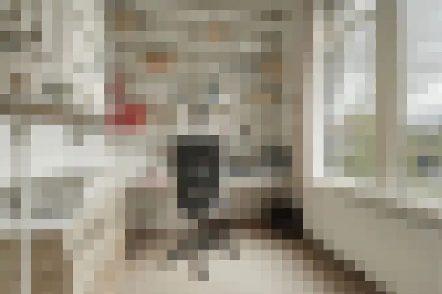 Koninginnelaan 6 Oegstgeest thumbnail 33