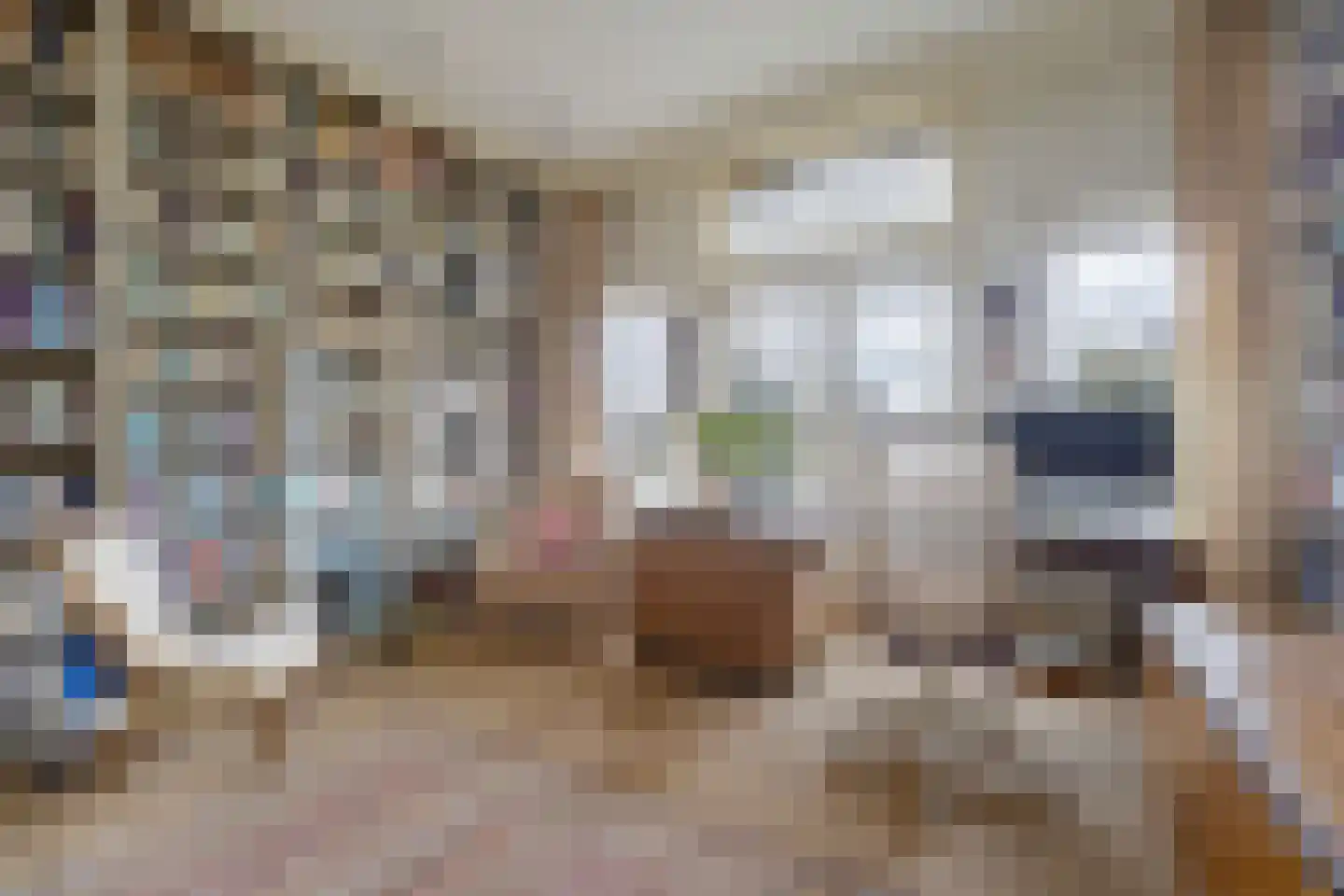 Koninginnelaan 6 Oegstgeest thumbnail 35