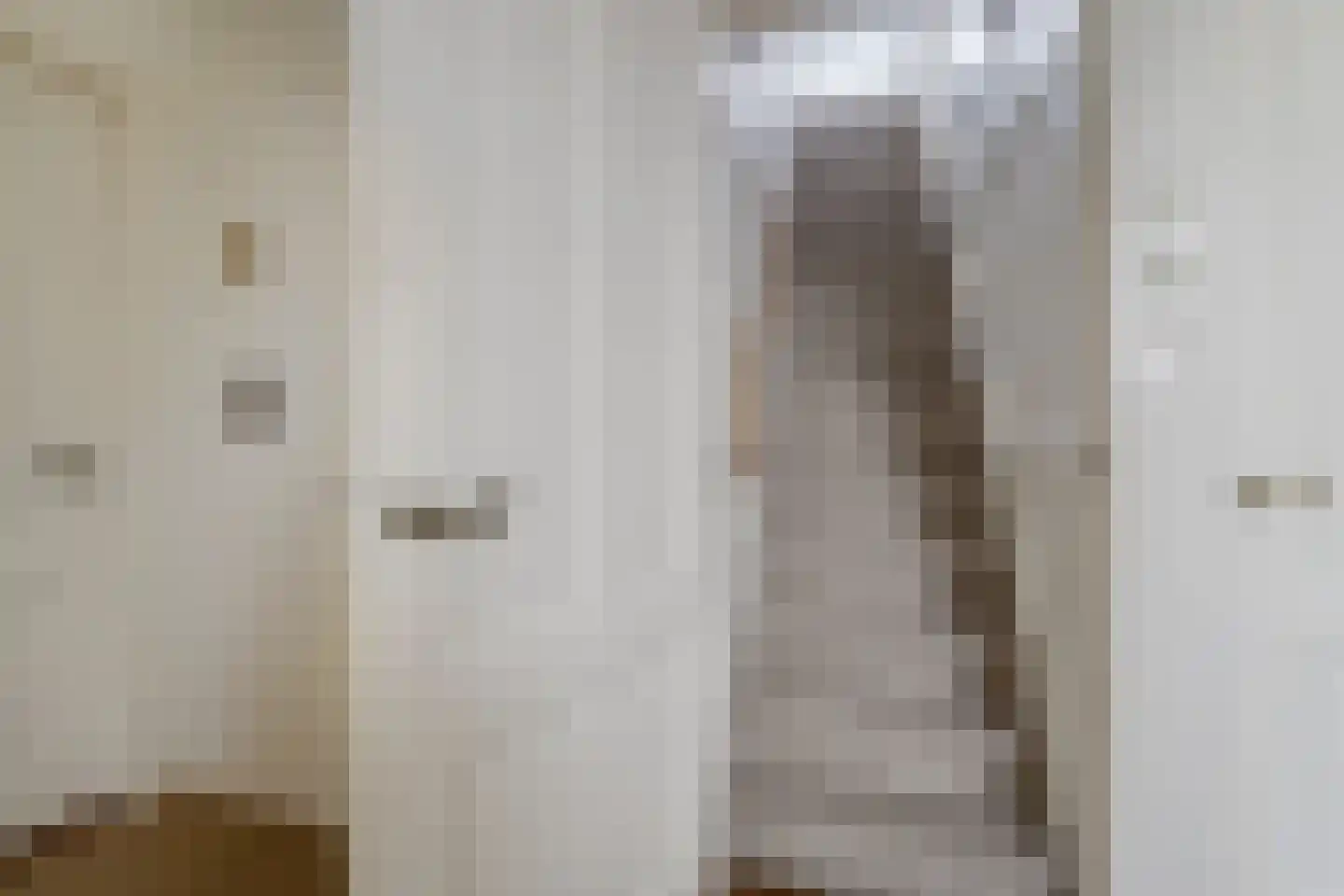 Koninginnelaan 6 Oegstgeest thumbnail 47