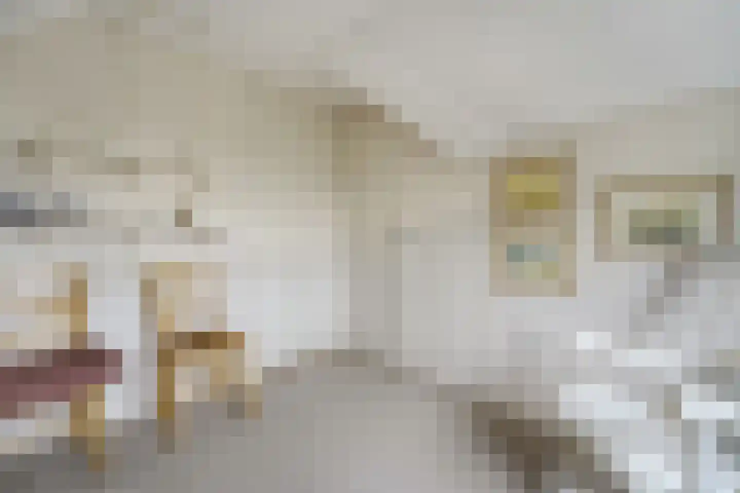 Koninginnelaan 6 Oegstgeest thumbnail 55